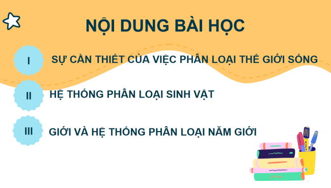 KHTN 6 Bai 25 5*961667