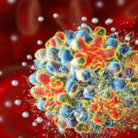 Giáo án Khoa học tự nhiên 6 Bài 29: Virus
