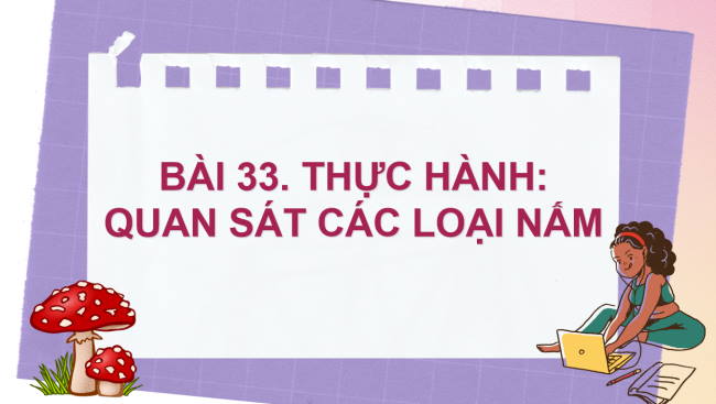 KHTN 6 Bai 33 3*962518