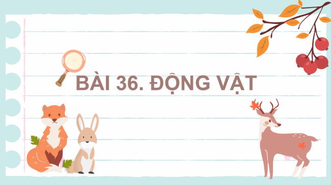 KHTN 6 Bai 36 3*962534