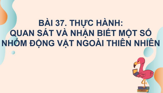 KHTN 6 Bai 37 3*962535
