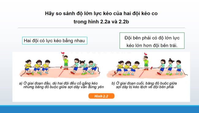 KHTN 6 Bai 41 4*962569