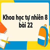 Khoa học tự nhiên 8 Kết nối tri thức bài 22 trang 91, 92, 93, 94
