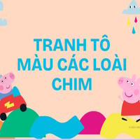 Tranh tô màu các loài chim