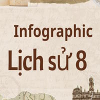 Infographic Lịch sử 8