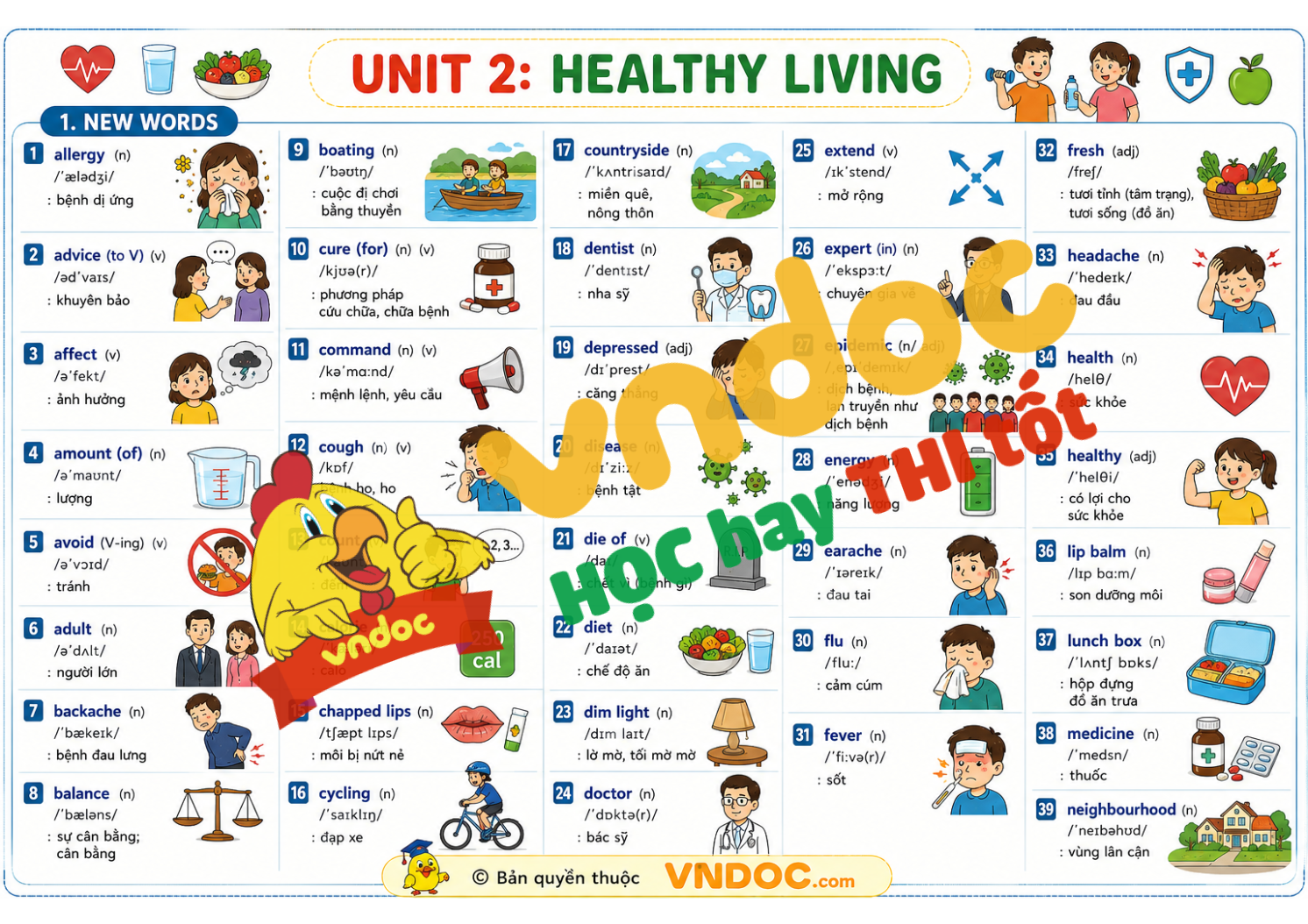 Từ vựng Unit 2 lớp 7