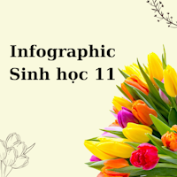 Infographic Sinh học 11
