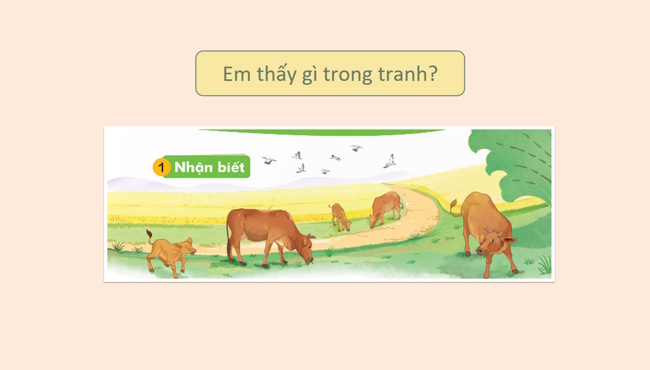 Tieng Viet 1 Bai 6 5*968168