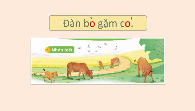 Tieng Viet 1 Bai 6 6*968175