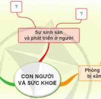 Giáo án Tự nhiên và xã hội 1 Bài 25: Ôn tập chủ đề Con người và sức khỏe