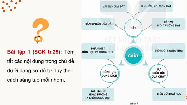 Khoa hoc 5 Bai 6 5*971894