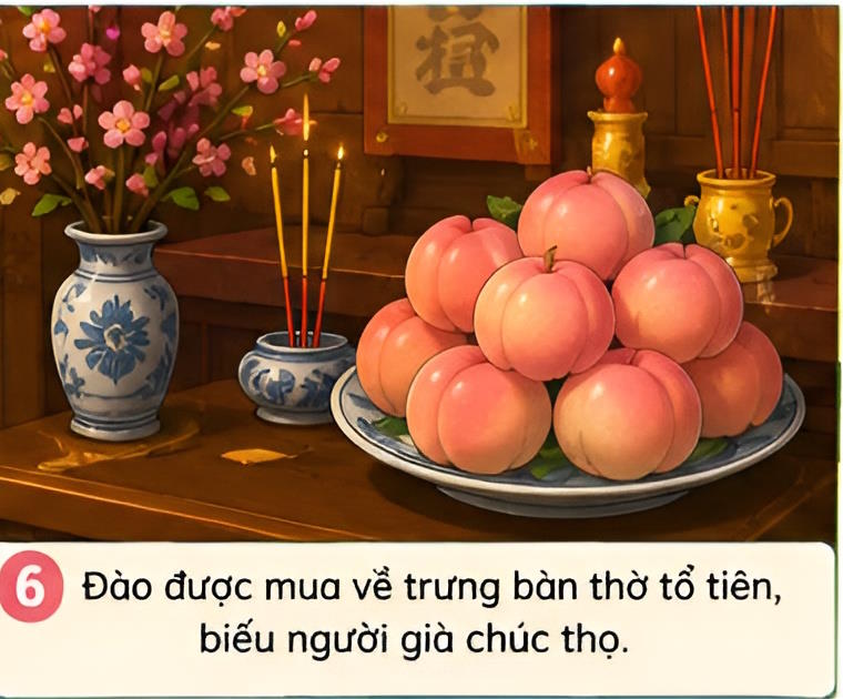 qua dao tien 6*976248
