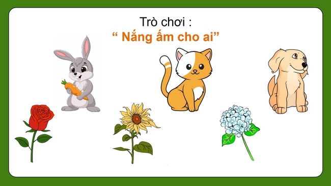 Khoa hoc 5 Bai 11 3*978522