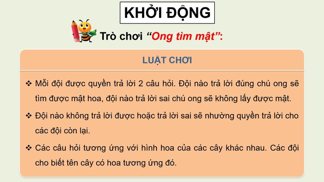 Khoa hoc 5 Bai 13 2*979147