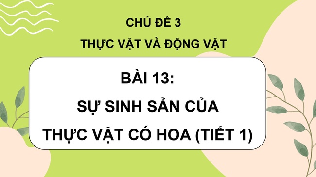 Khoa hoc 5 Bai 13 5*979148