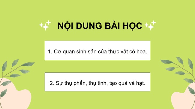 Khoa hoc 5 Bai 13 6*979146