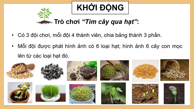 Khoa hoc 5 Bai 14 2*979161