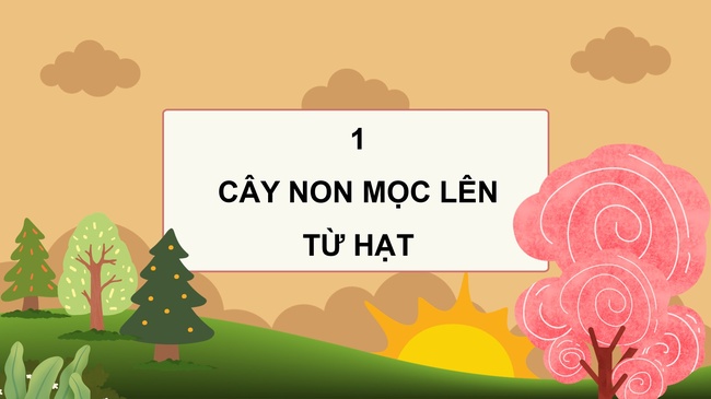 Khoa hoc 5 Bai 14 6*979159