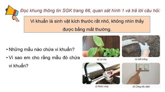 Khoa hoc 5 Bai 18 6*979176