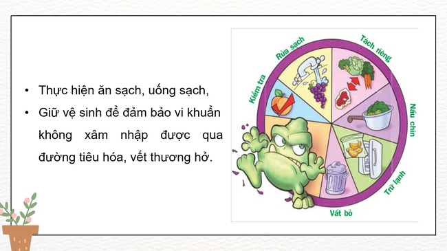 Khoa hoc 5 Bai 21 5*979198