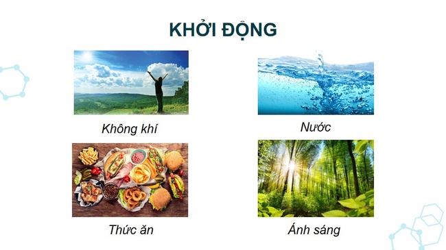 Khoa hoc 5 Bai 28 3*979245