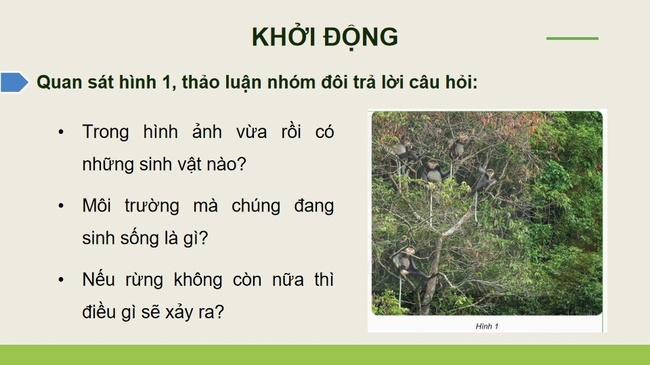 Khoa hoc 5 Bai 29 2*979269