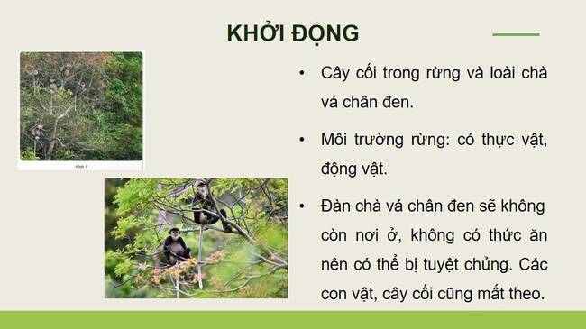 Khoa hoc 5 Bai 29 3*979271