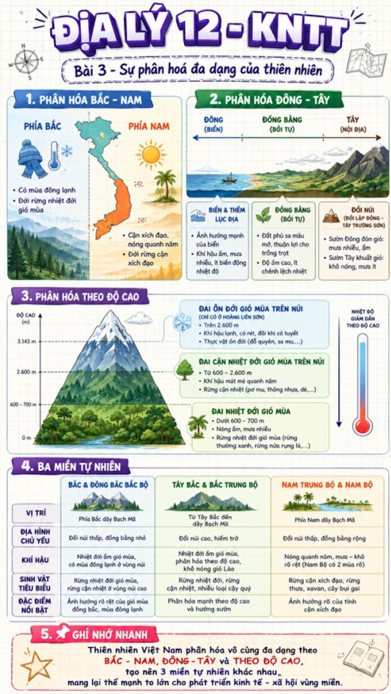 Infographic Địa lí 12 bài 3