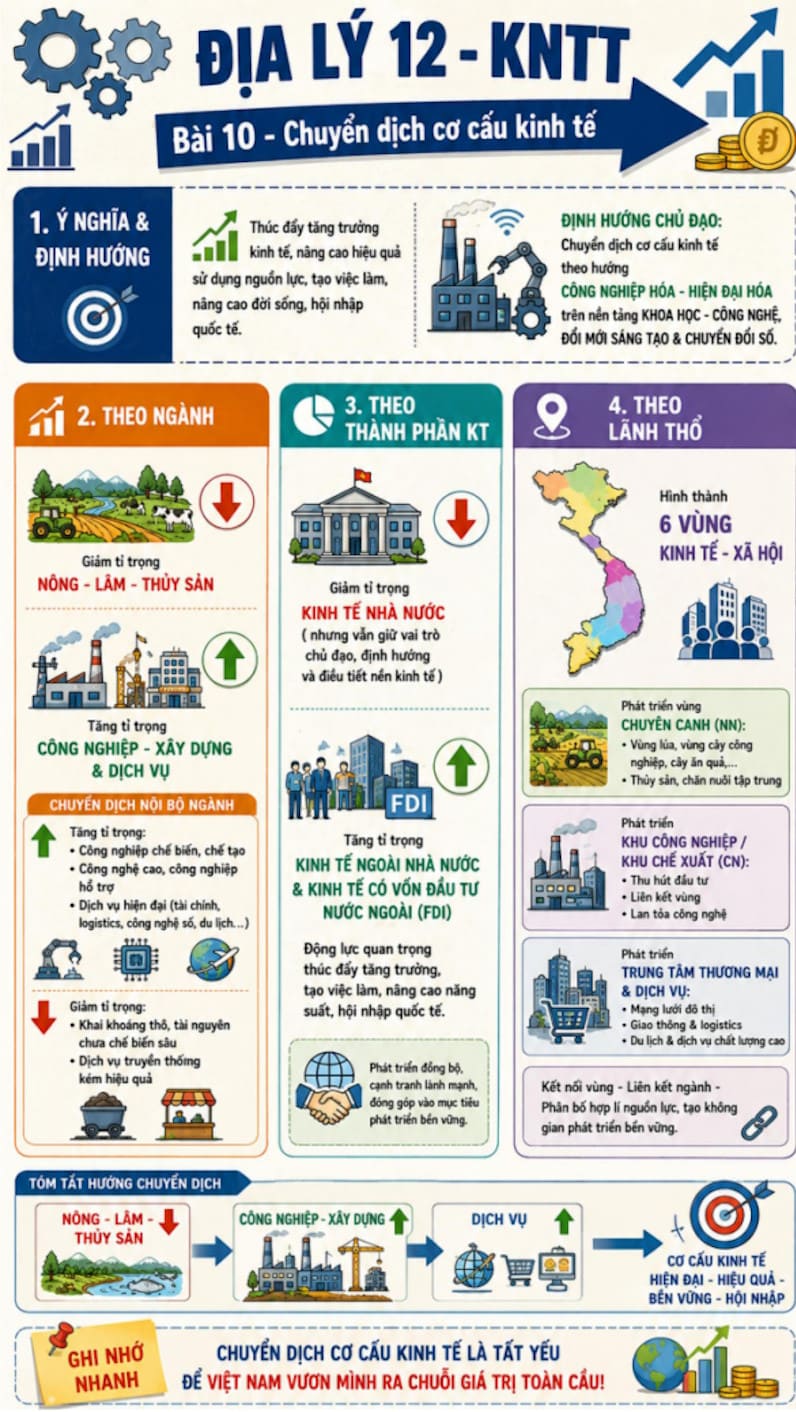 Infographic Địa lí 12 bài 10