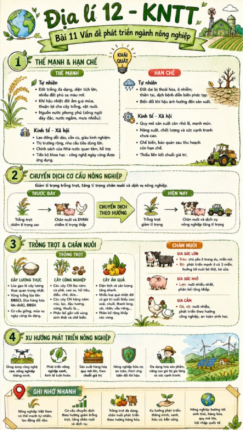 Infographic Địa lí 12 bài 11