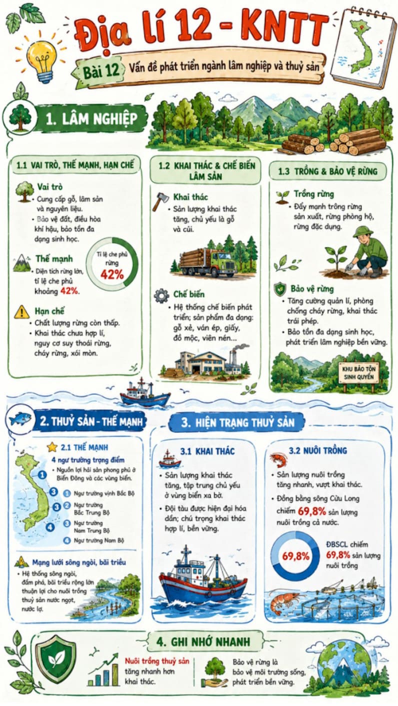 Infographic Địa lí 12 bài 12