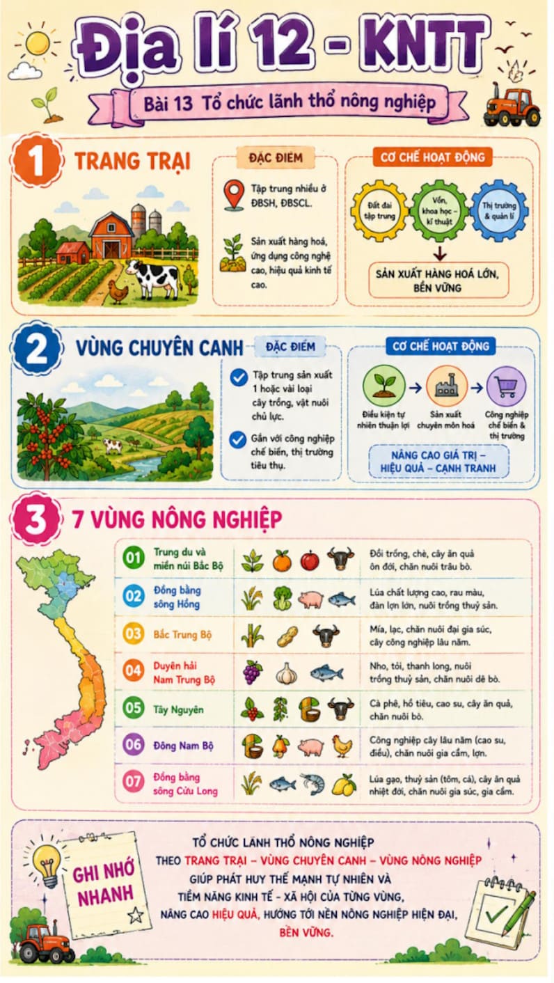 Infographic Địa lí 12 bài 13