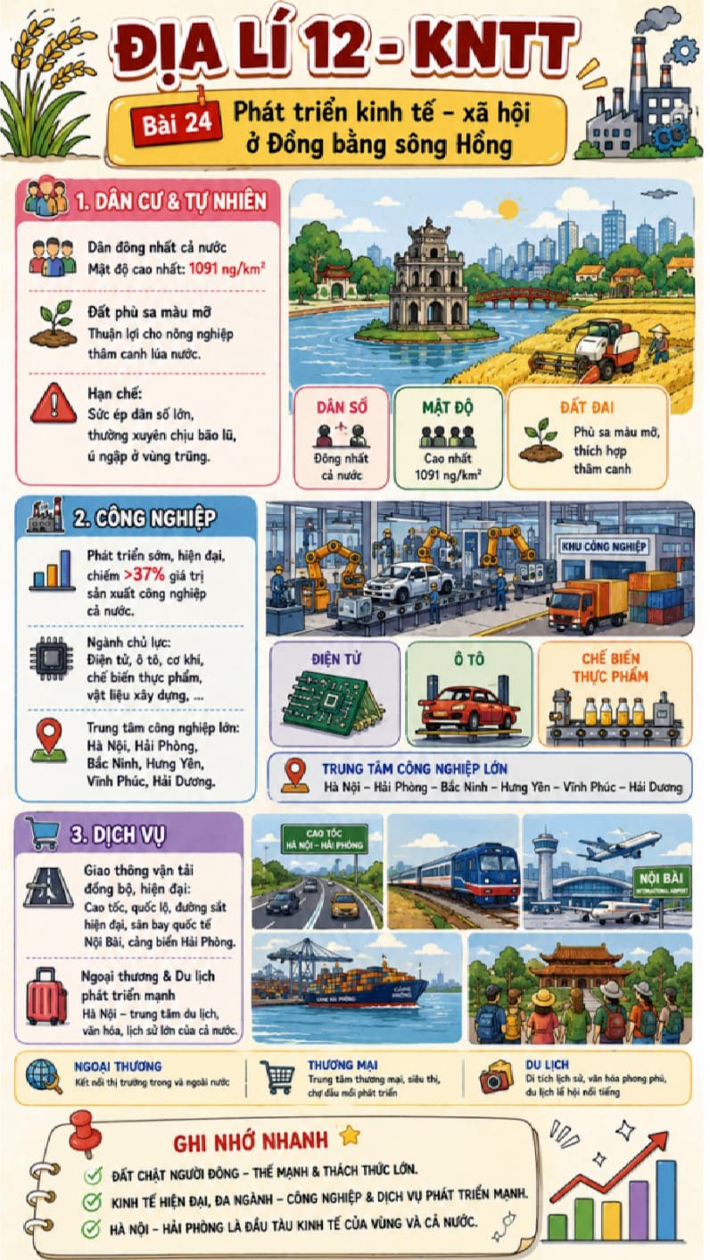 Infographic Địa lí 12 bài 24