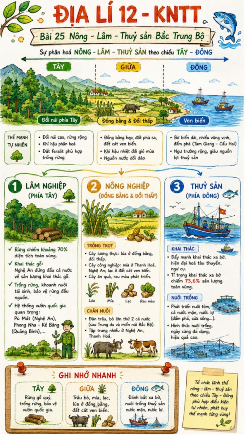 Infographic Địa lí 12 bài 25