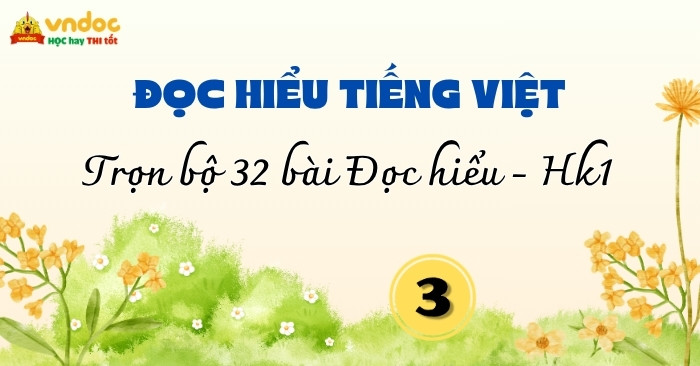 Bộ 32 bài Đọc hiểu Tiếng Việt lớp 3 Học kì 1 Kết nối tri thức (Có đáp án)