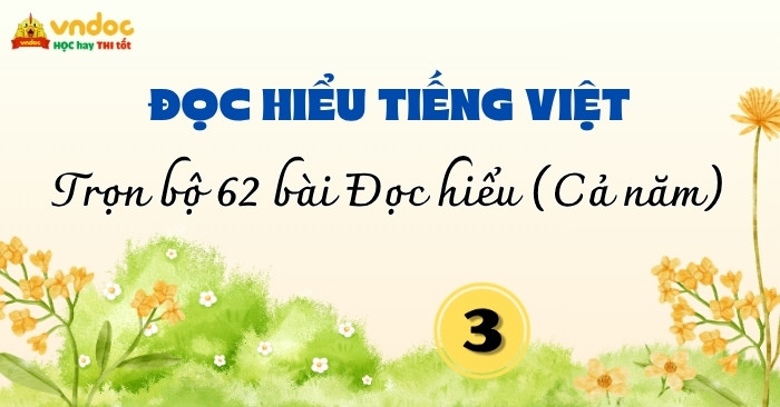 Bộ 62 bài Đọc hiểu Tiếng Việt lớp 3 Cả năm Kết nối tri thức (Có đáp án)