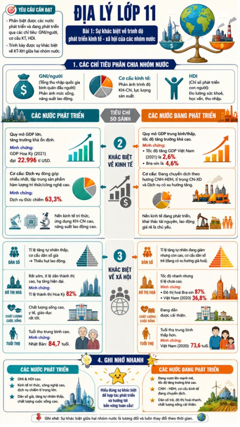 Infographic Địa lí 11 bài 1