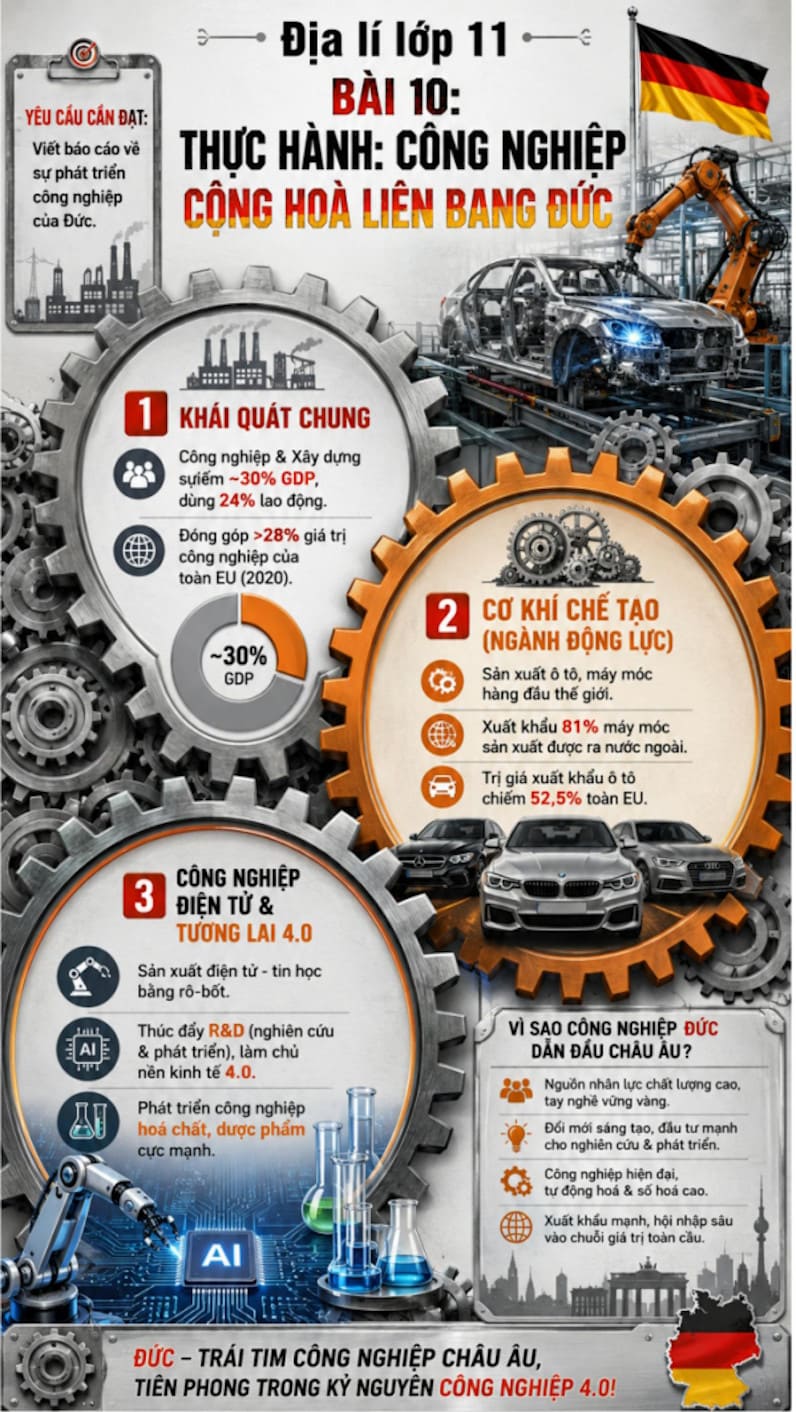Infographic Địa lí 11 bài 10