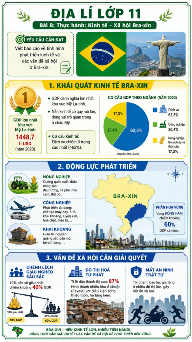 Infographic Địa lí 11 bài 8