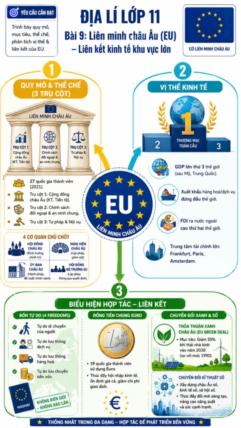 Infographic Địa lí 11 bài 9