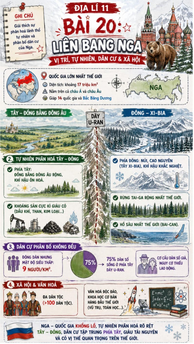 Infographic Địa lí 11 bài 20