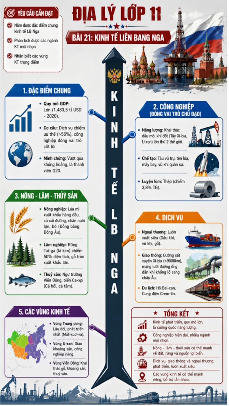 Infographic Địa lí 11 bài 21