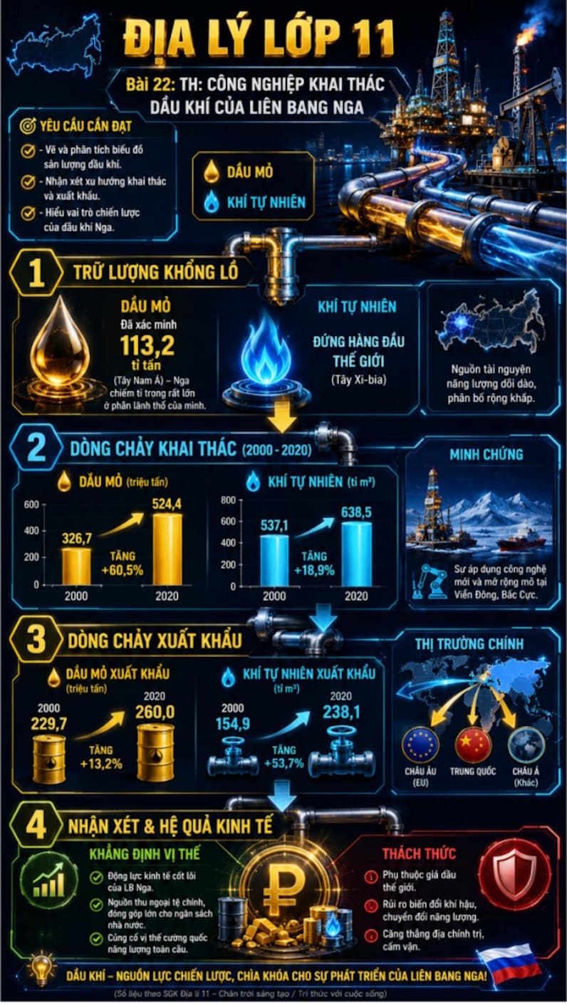 Infographic Địa lí 11 bài 22