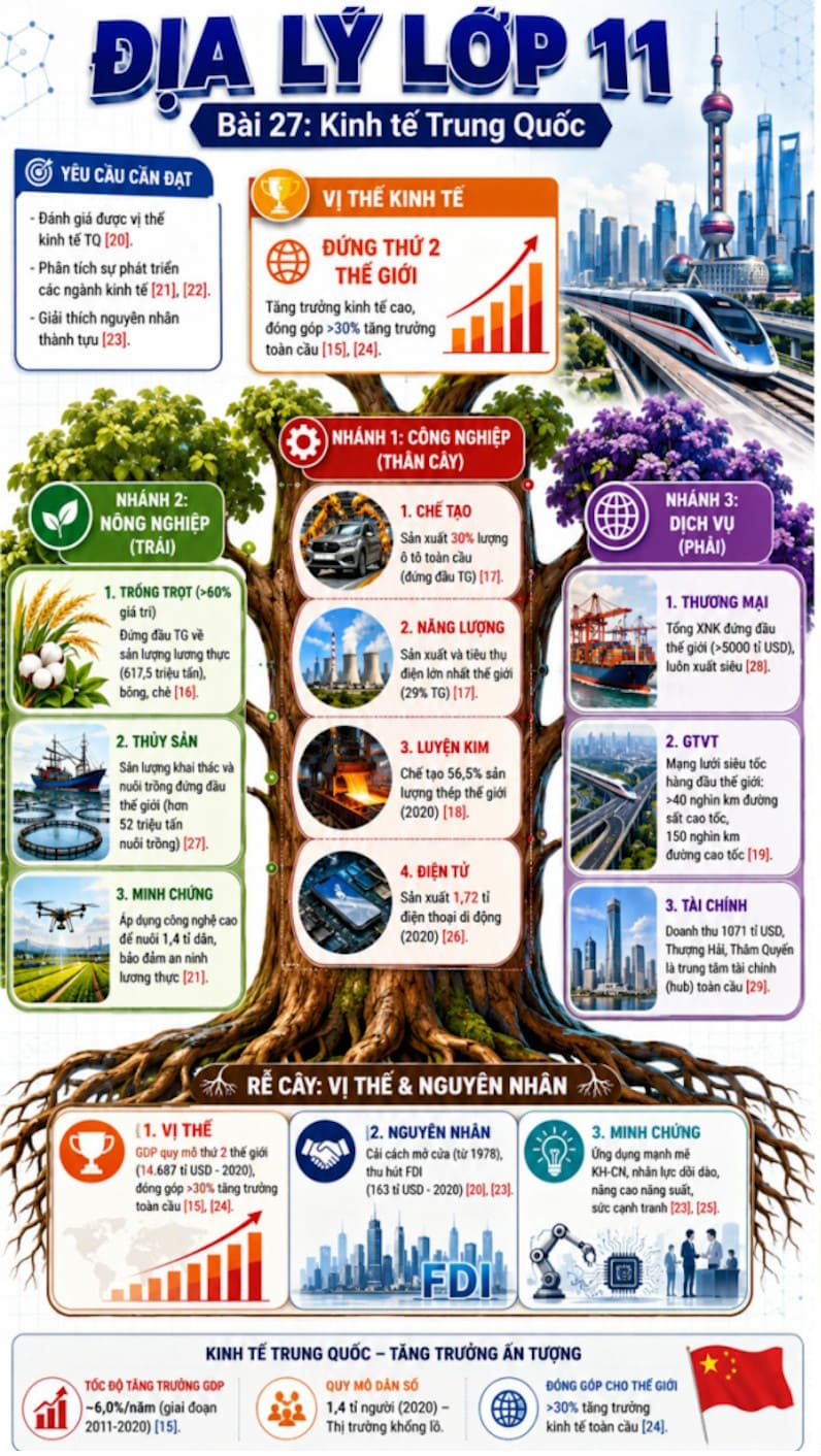 Infographic Địa lí 11 bài 27