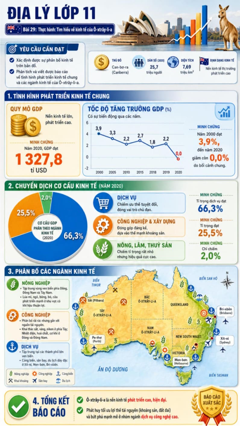 Infographic Địa lí 11 bài 29