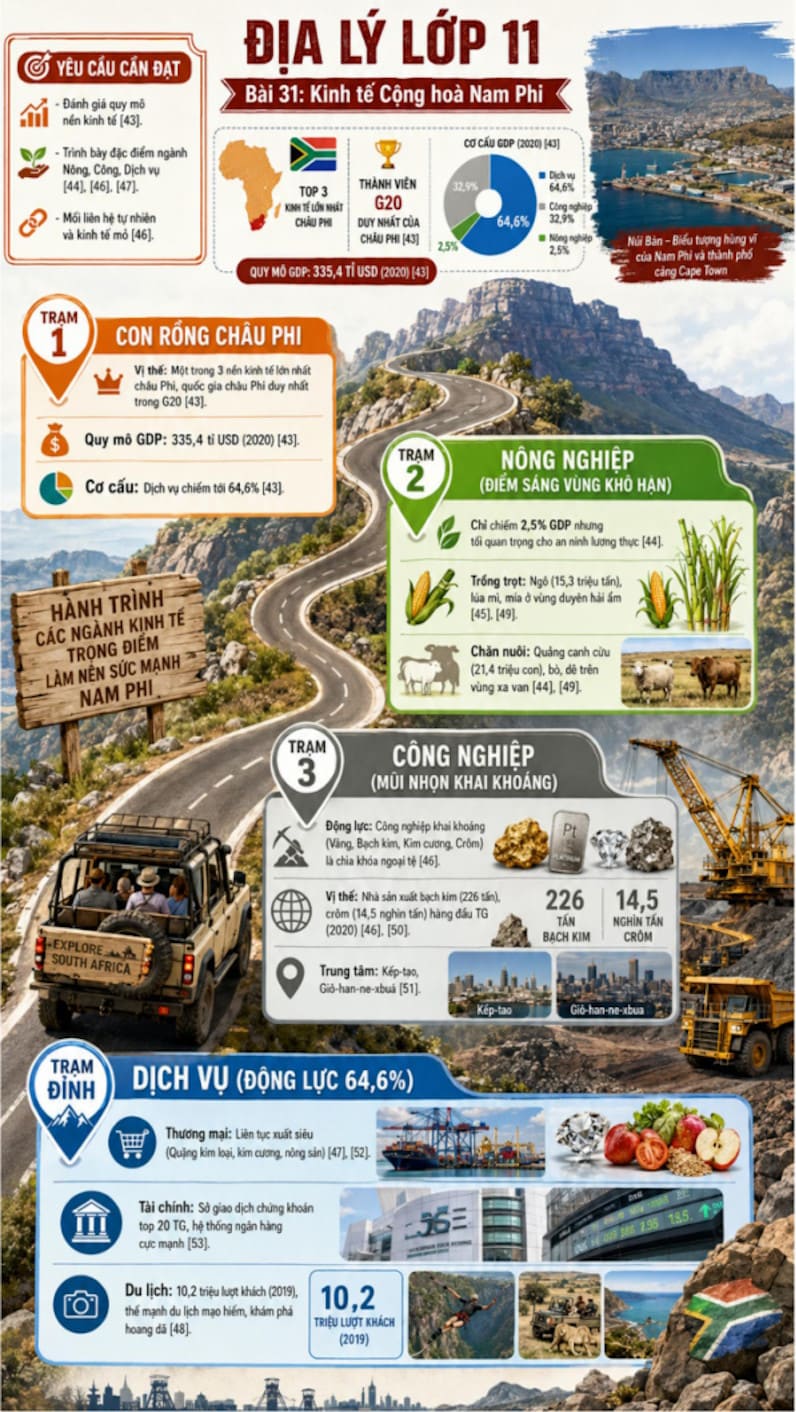 Infographic Địa lí 11 bài 31