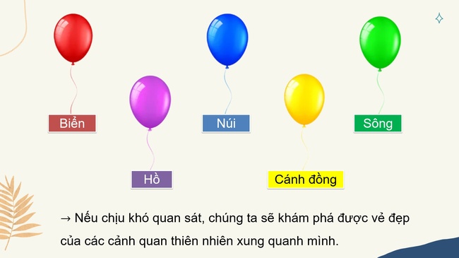hdtn 3 tuan 28 3*502