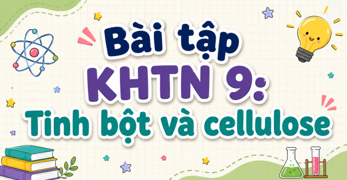 Bài tập KHTN 9: Tinh bột và cellulose 