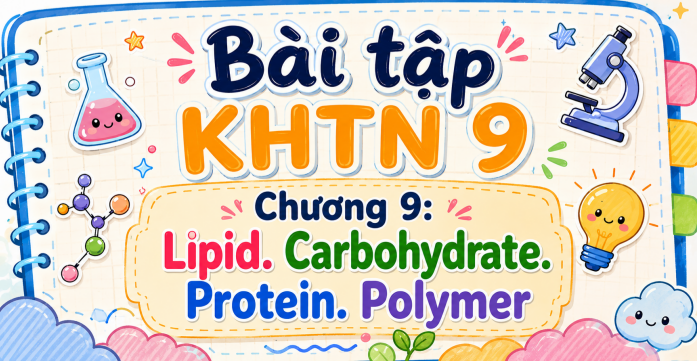 Bài tập KHTN 9 Chương 9: Lipid. Carbohydrate. Protein. Polymer