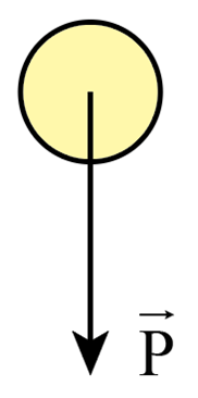 Trọng lực